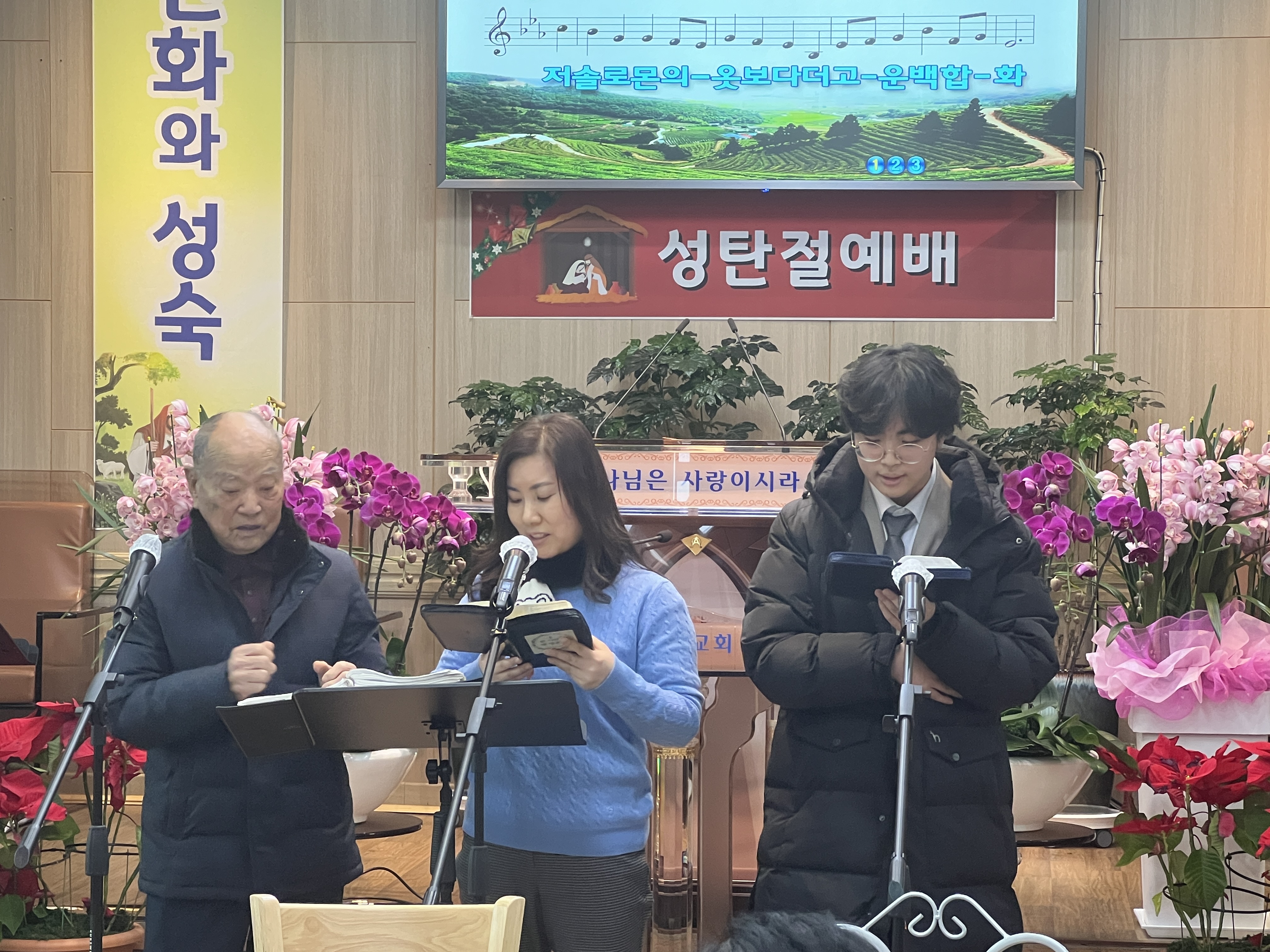 사진