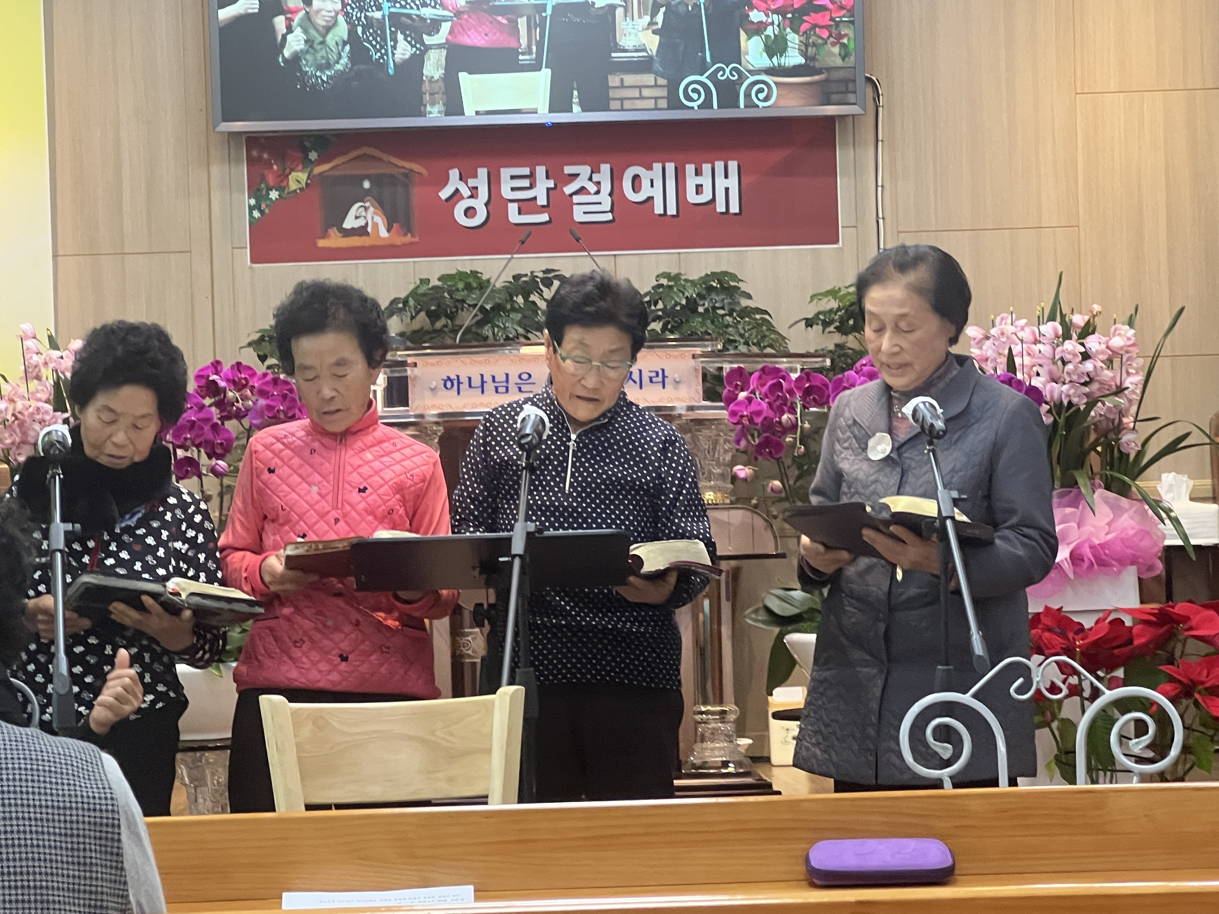 사진