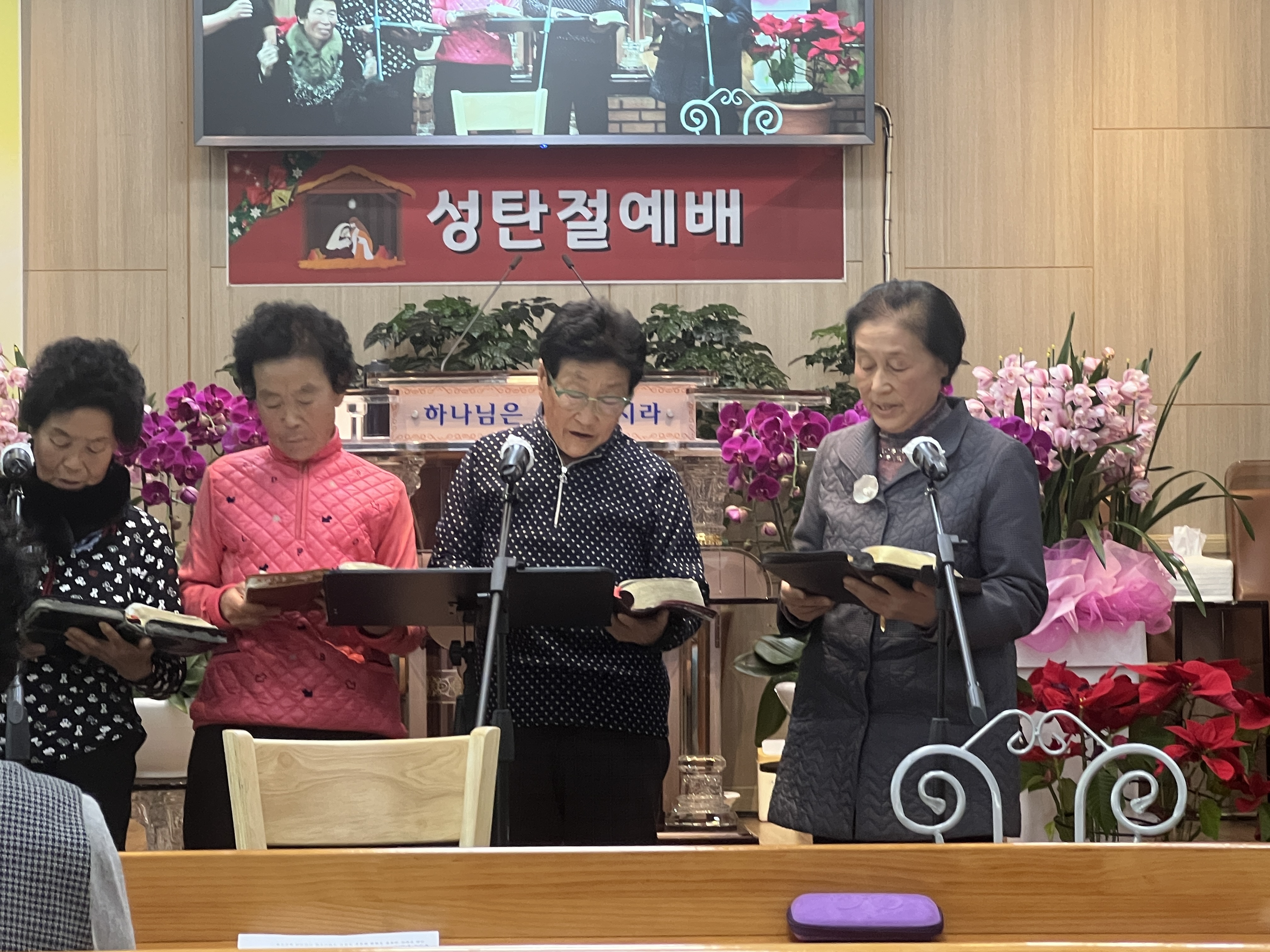 사진