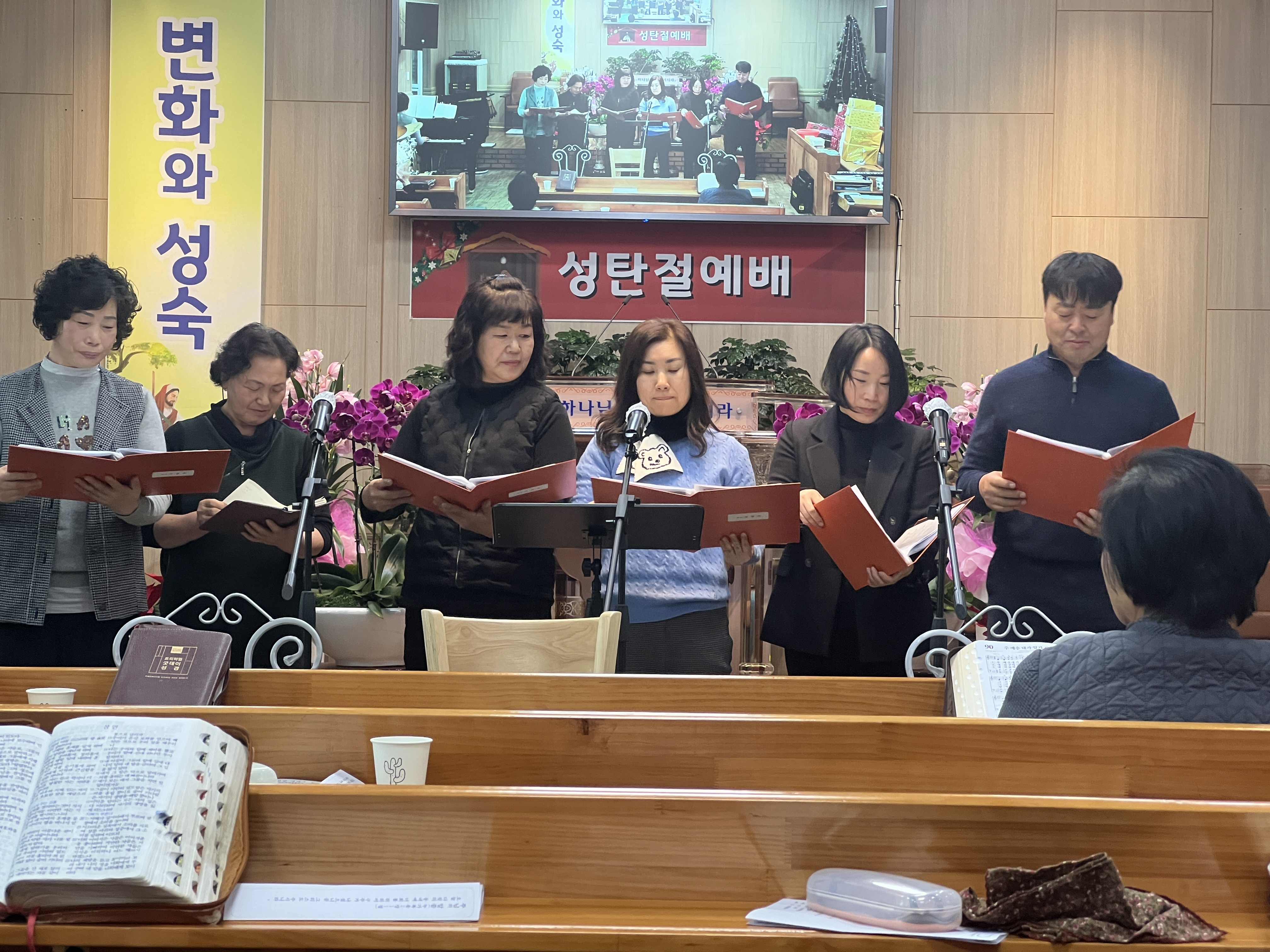 사진
