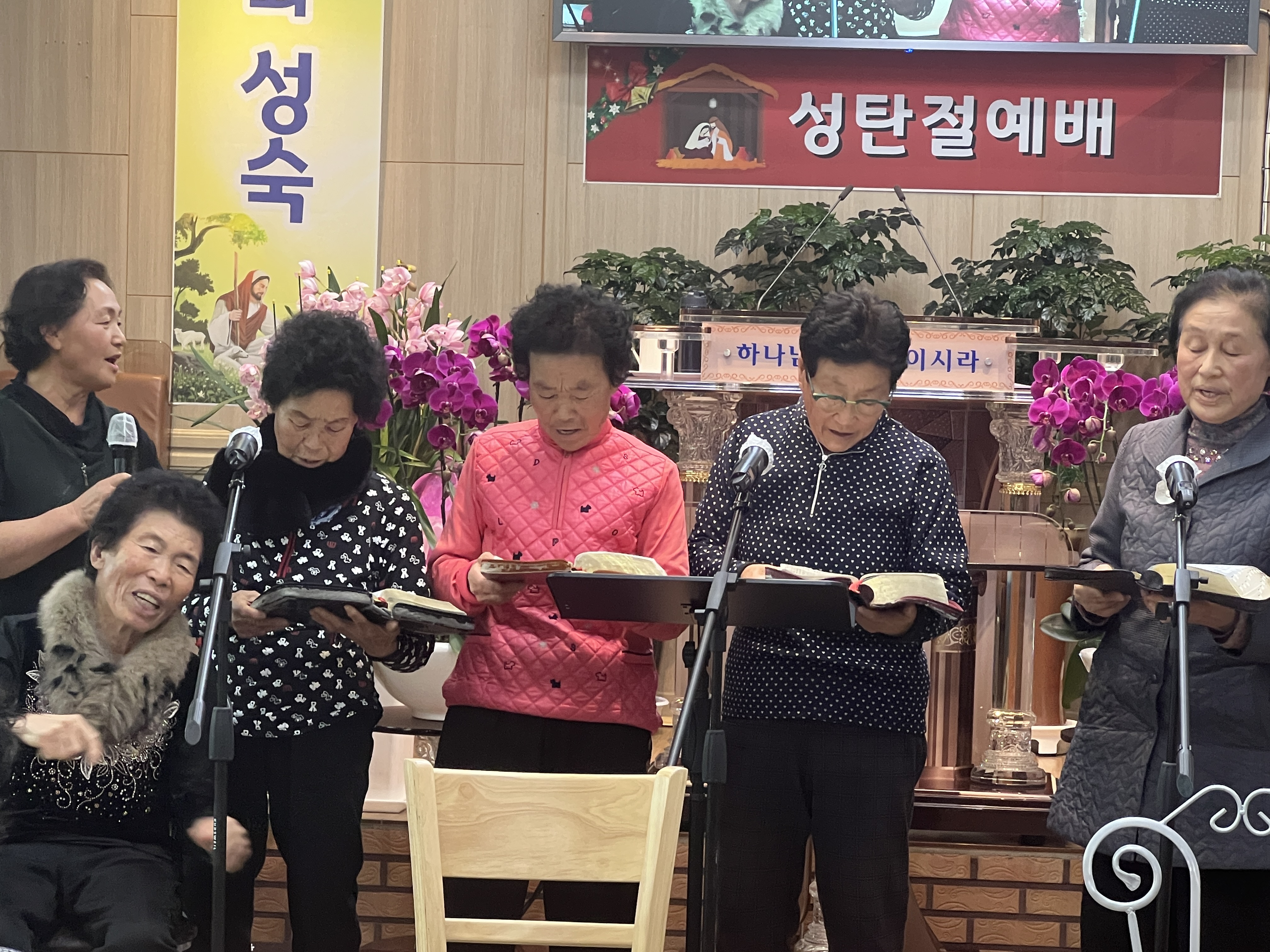 사진