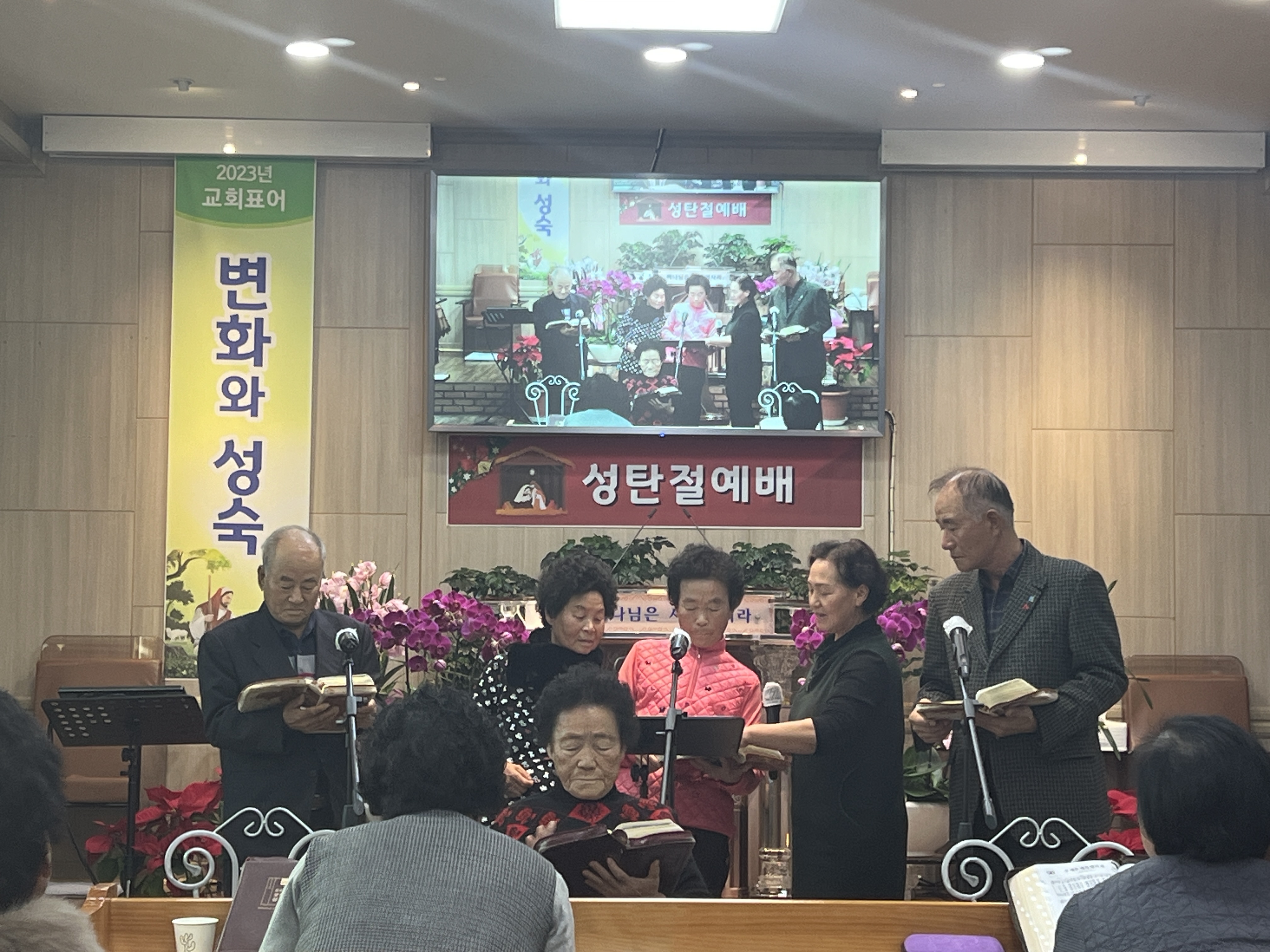 사진