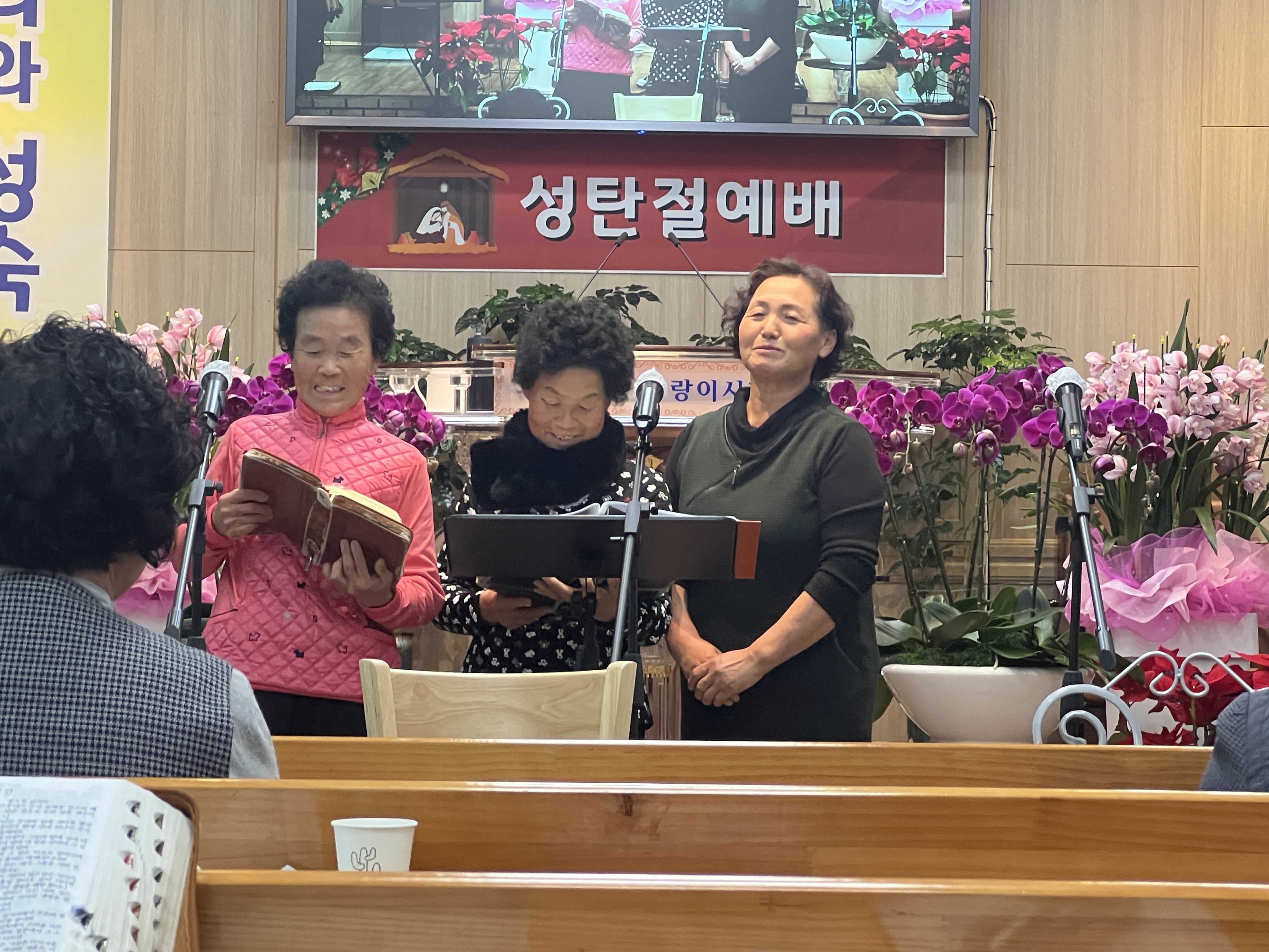 사진