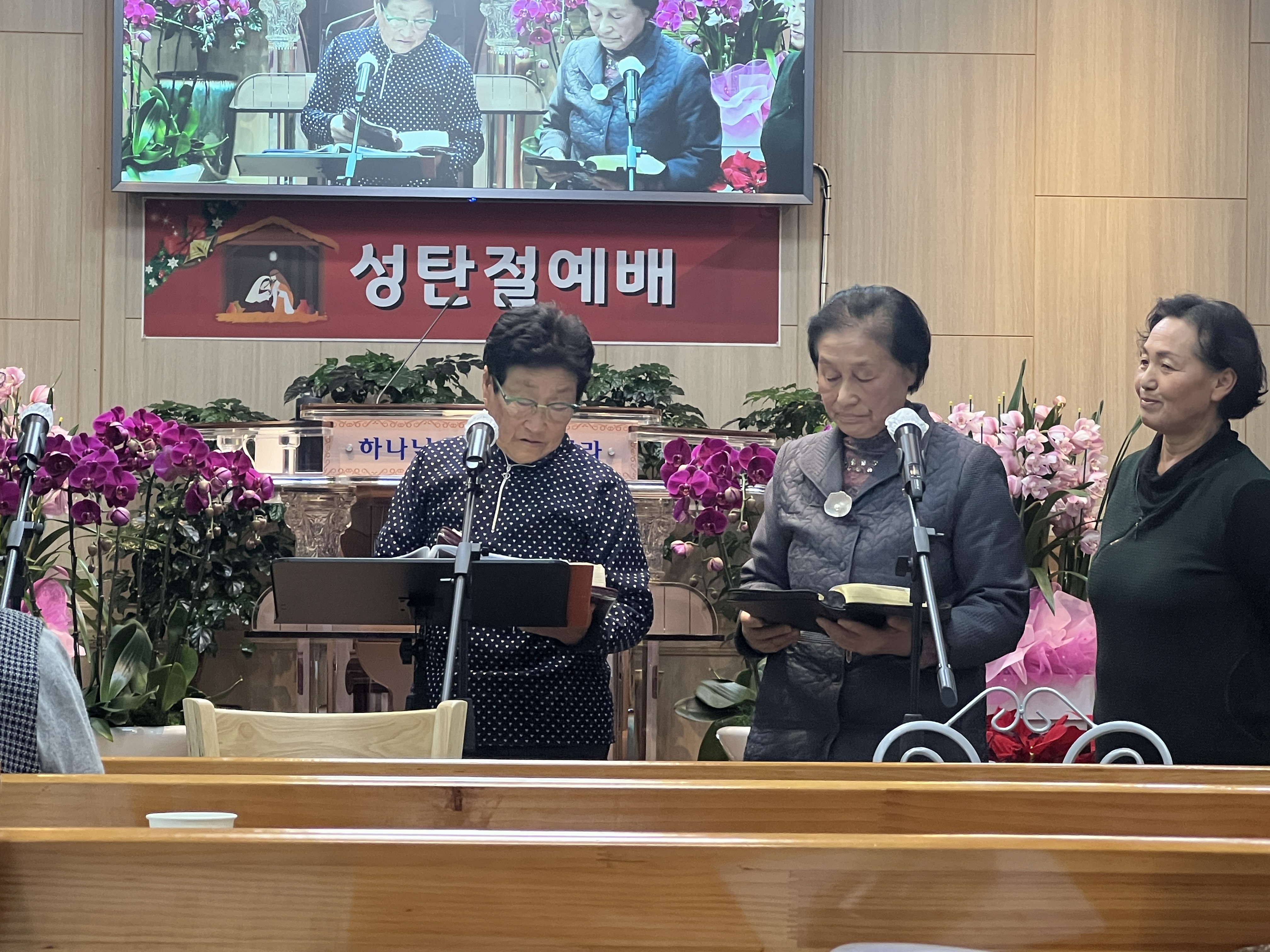사진
