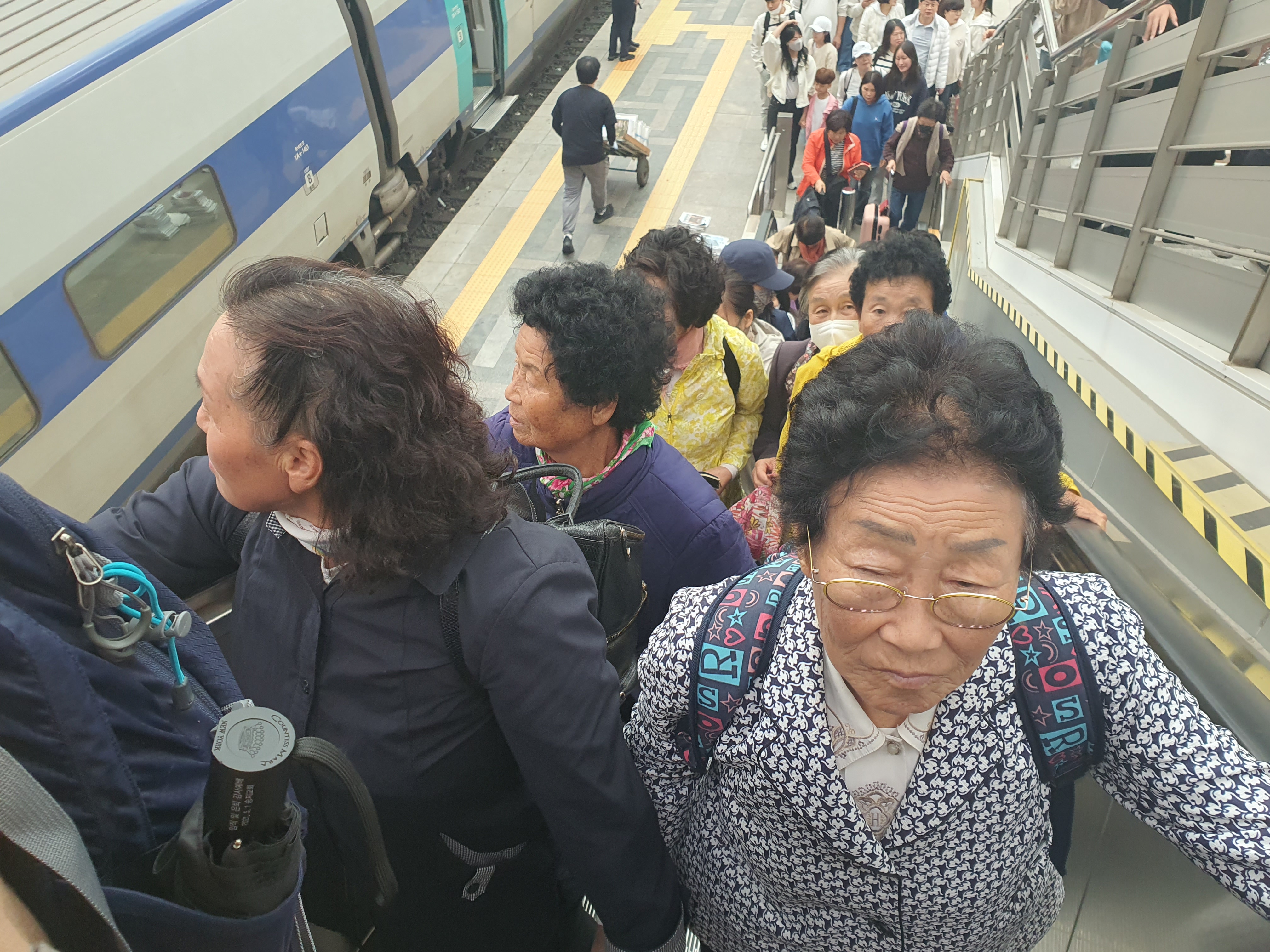 사진