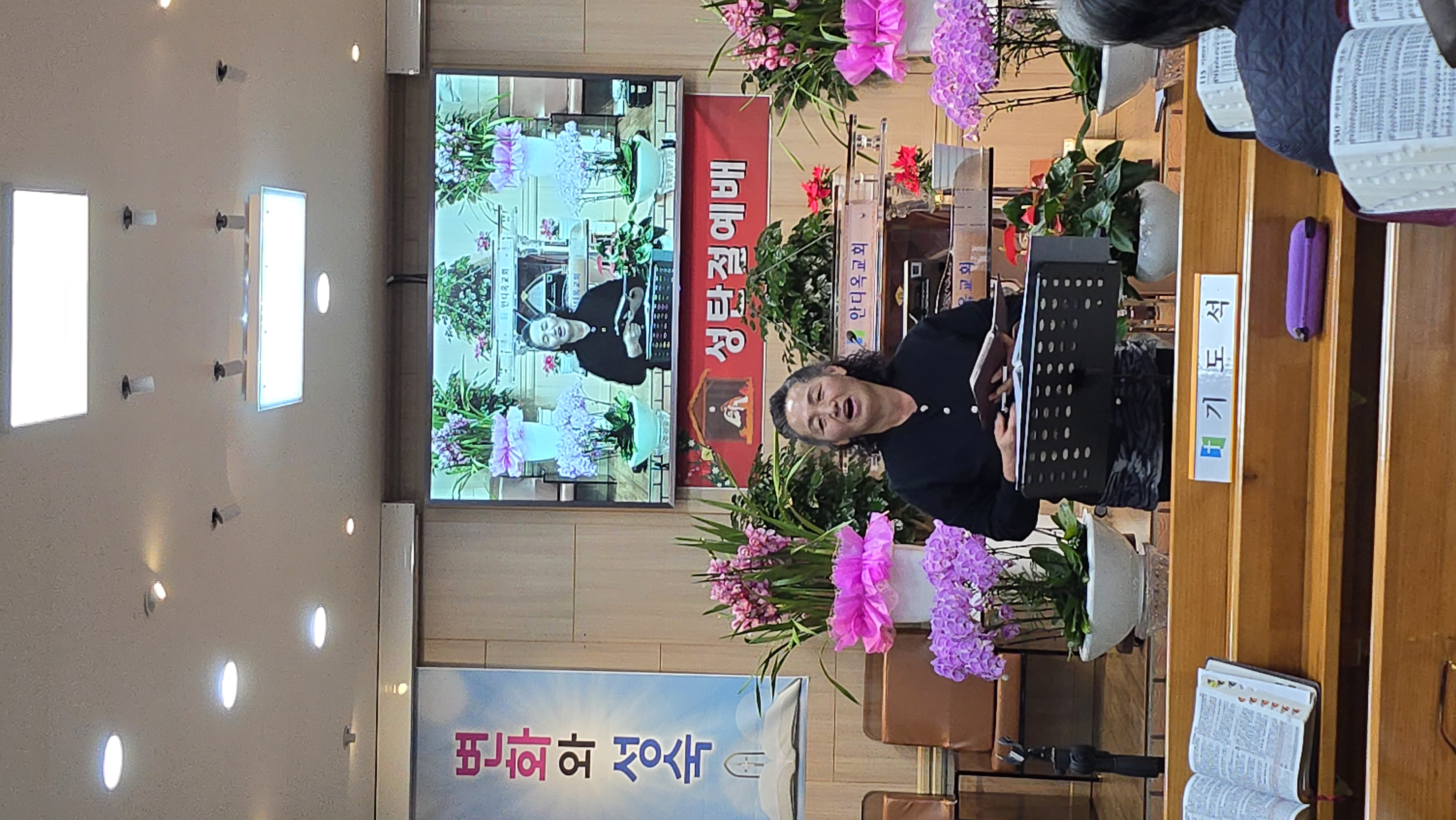 사진