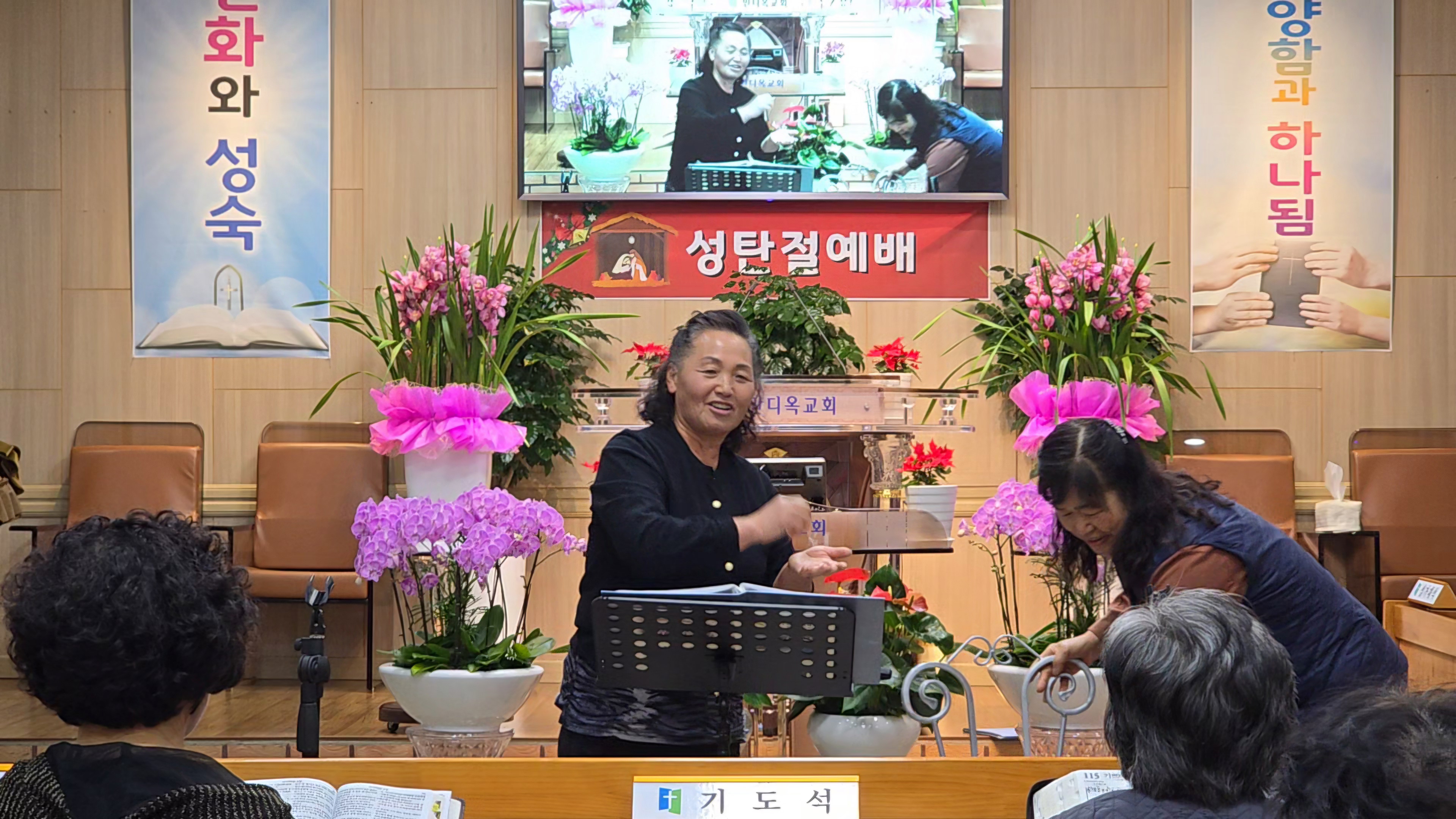 사진