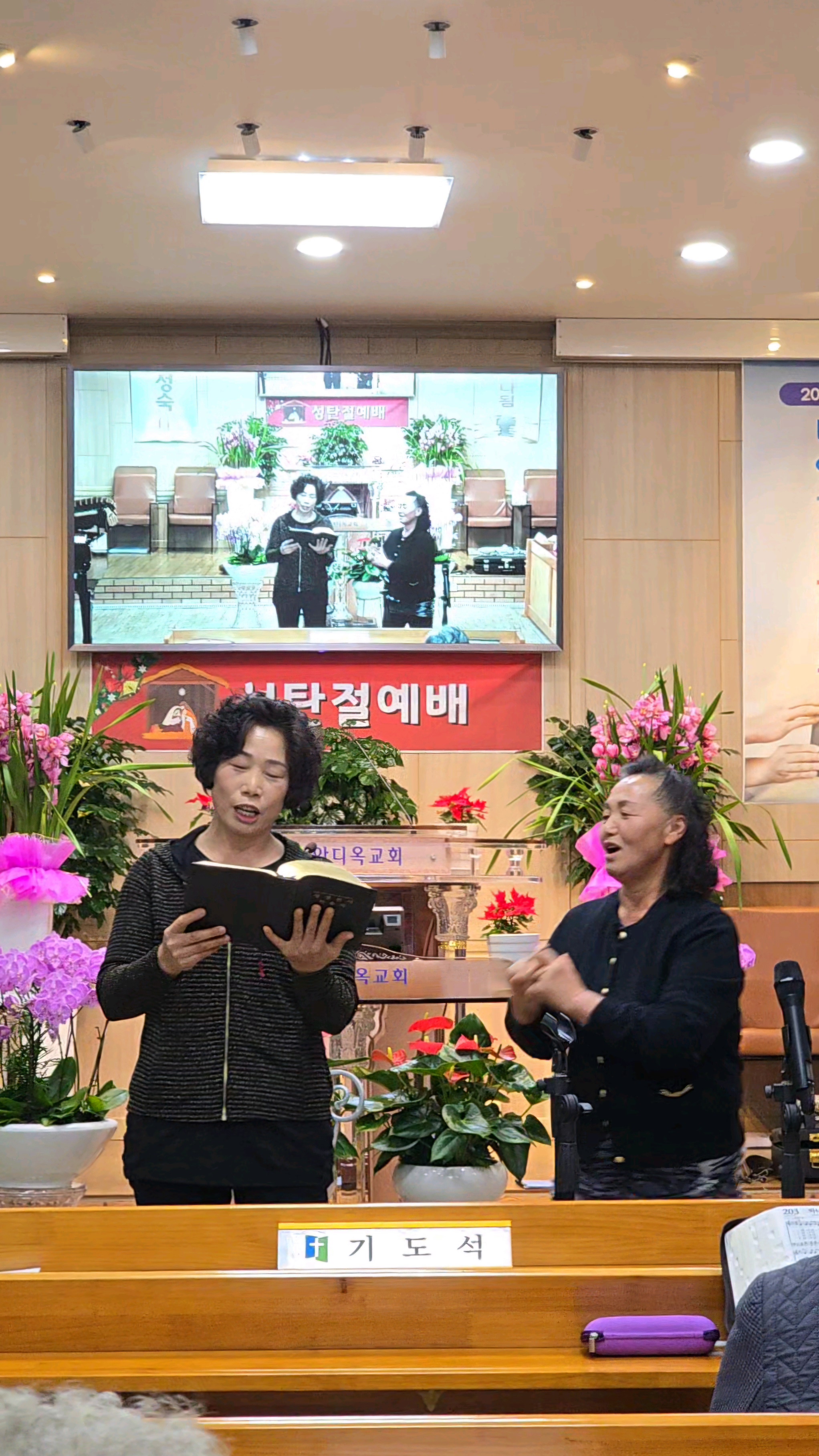 사진