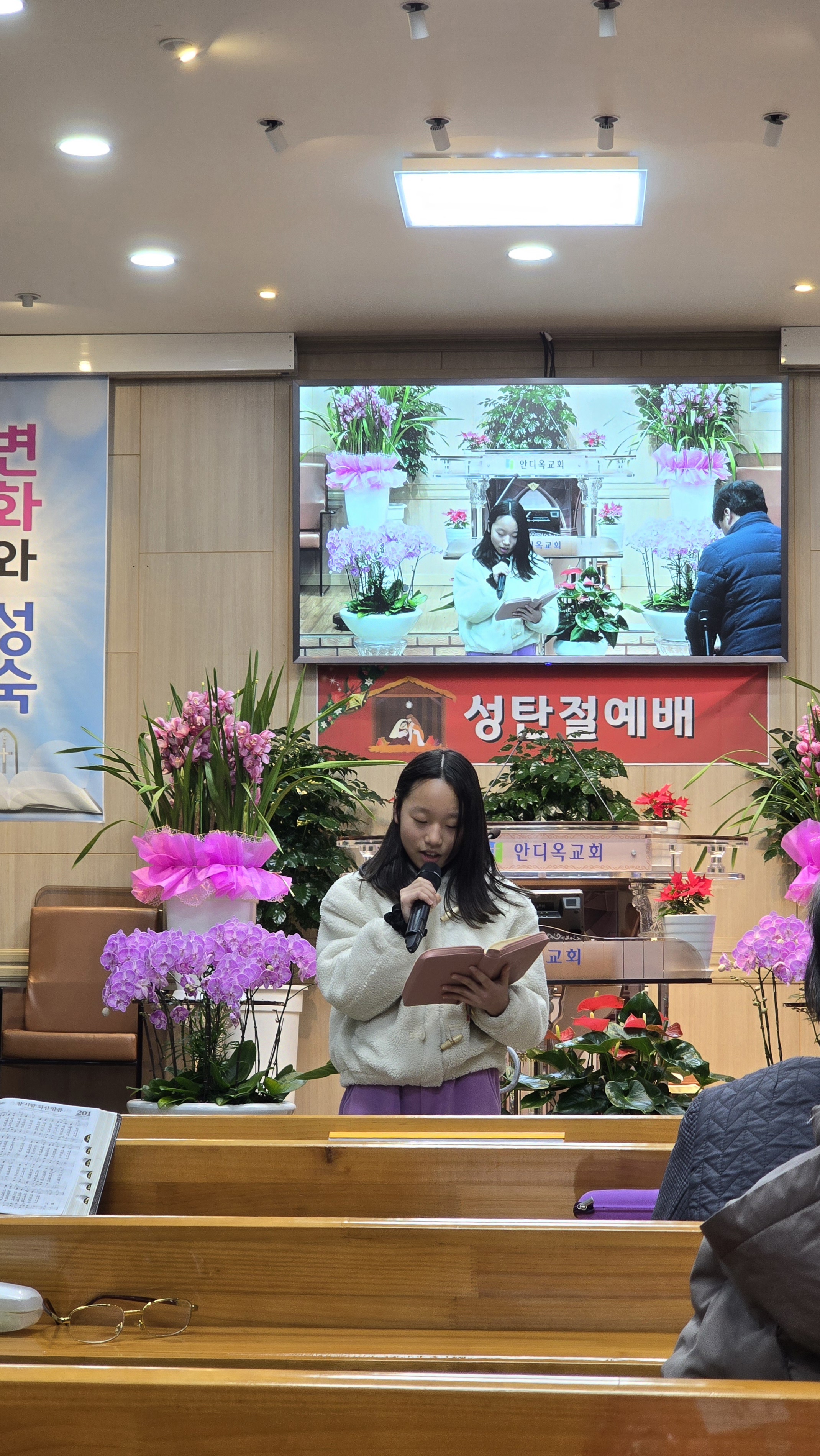 사진
