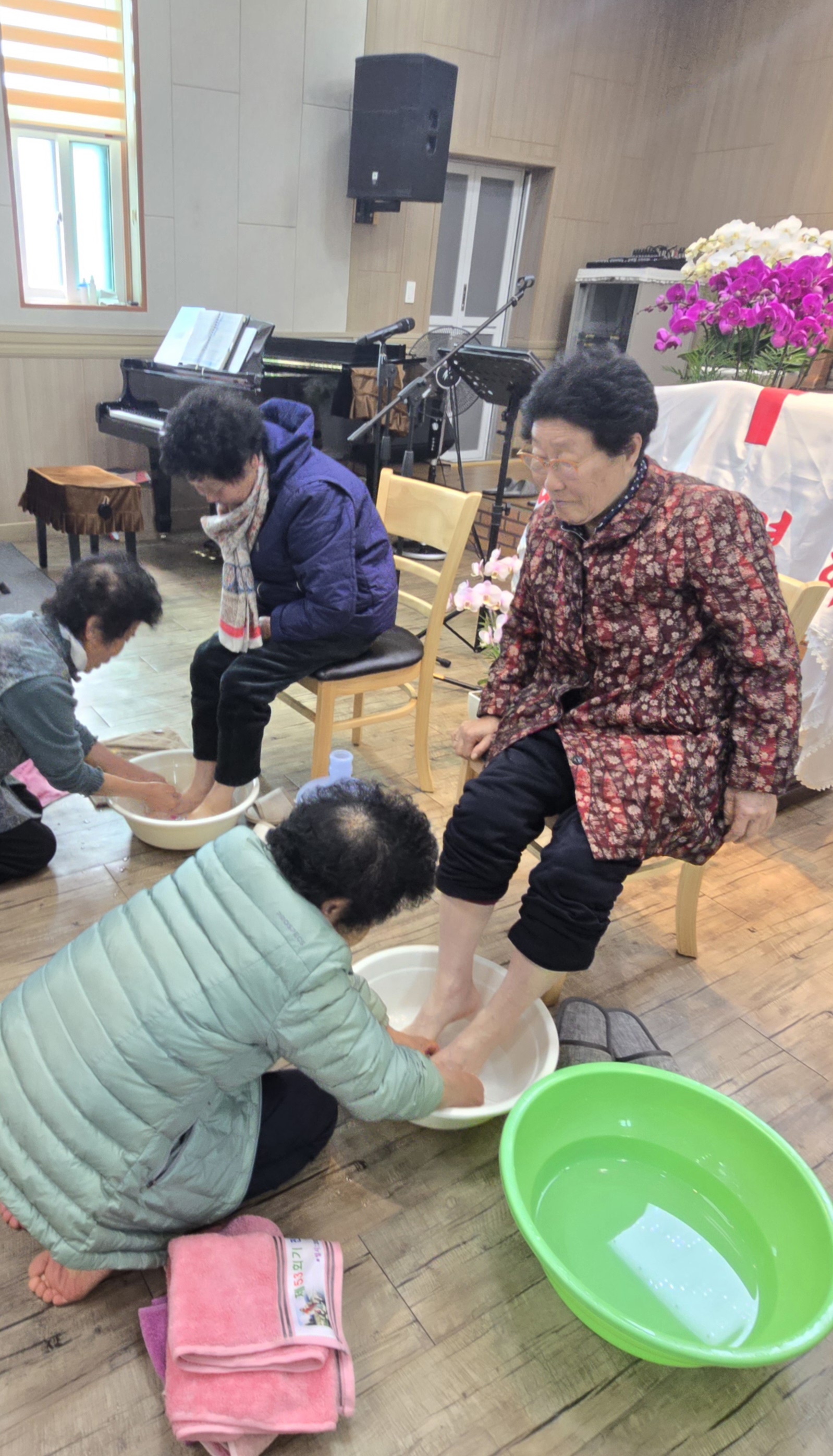 사진