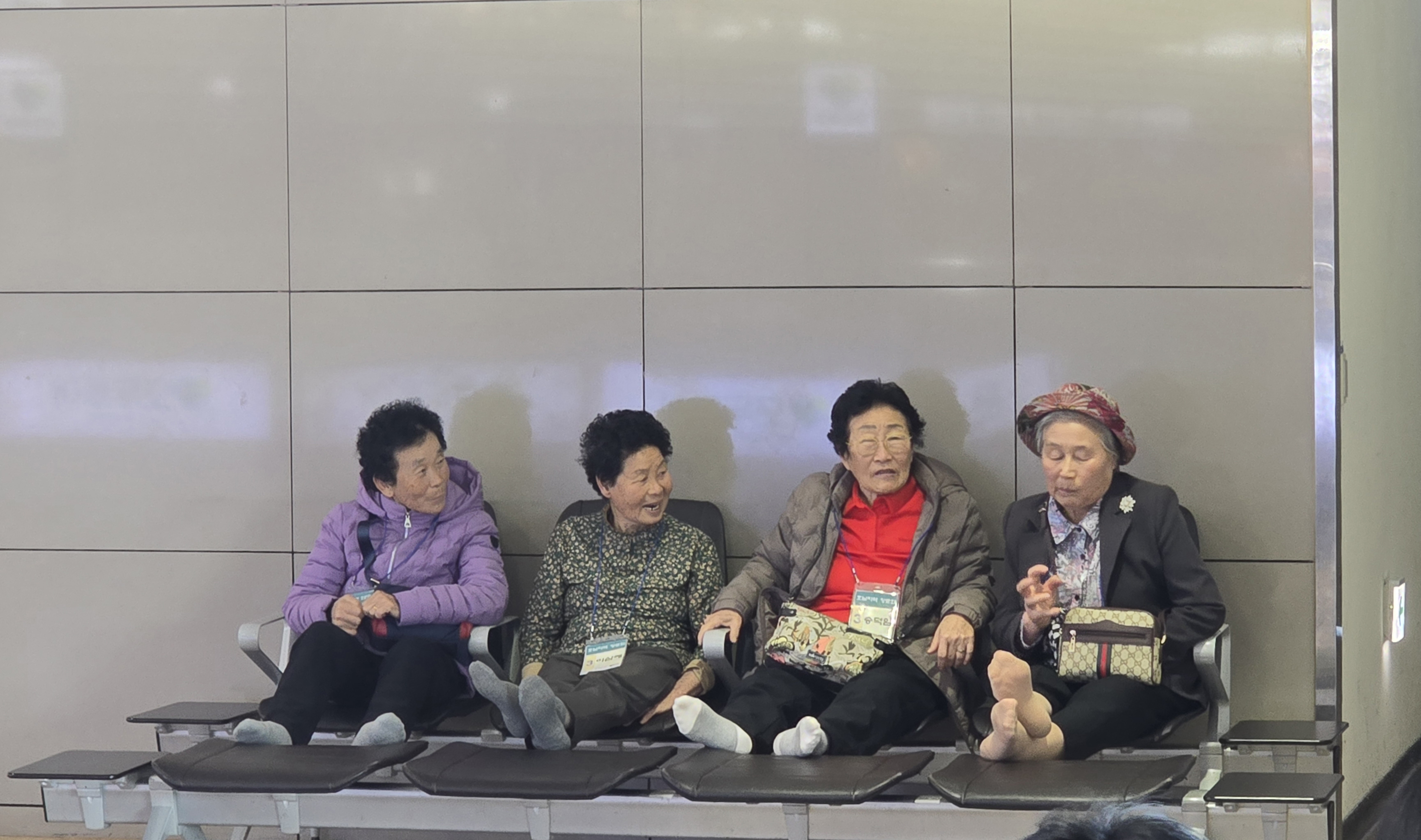 사진