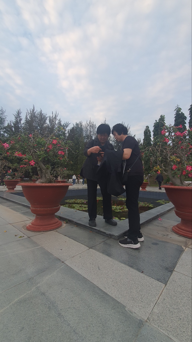 사진