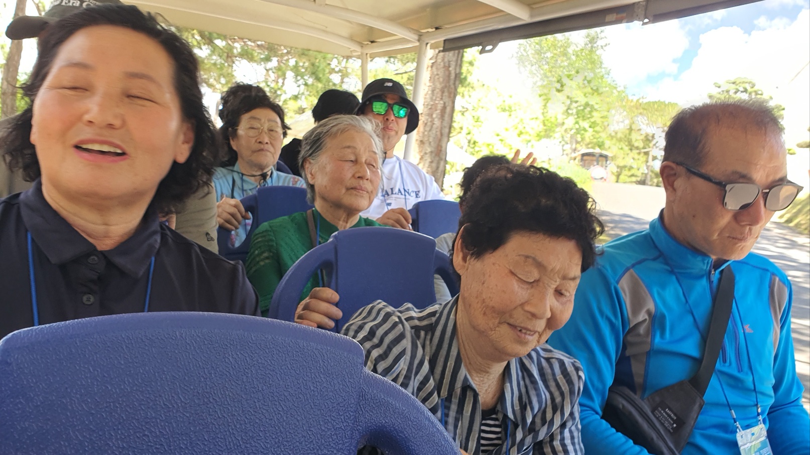 사진