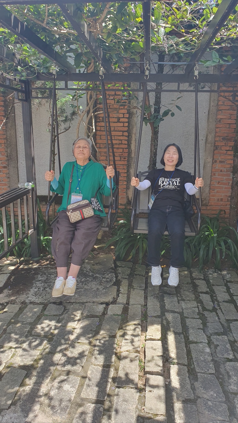사진