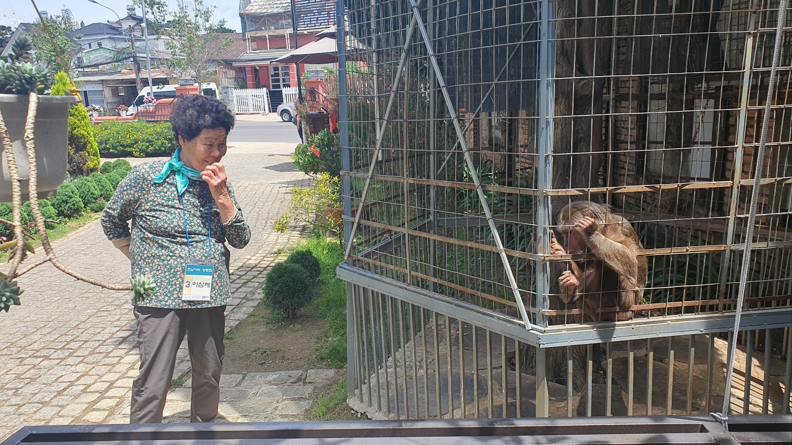 사진