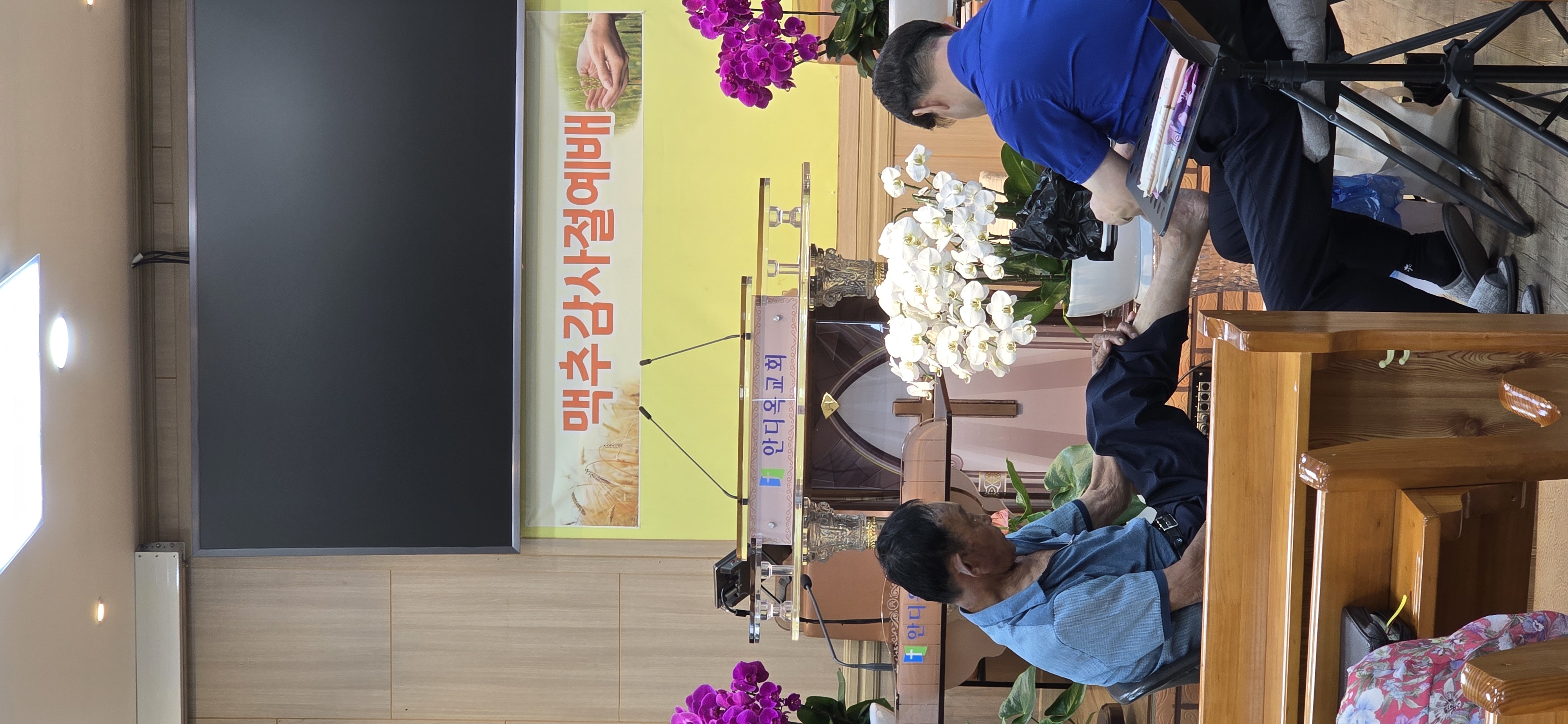 사진
