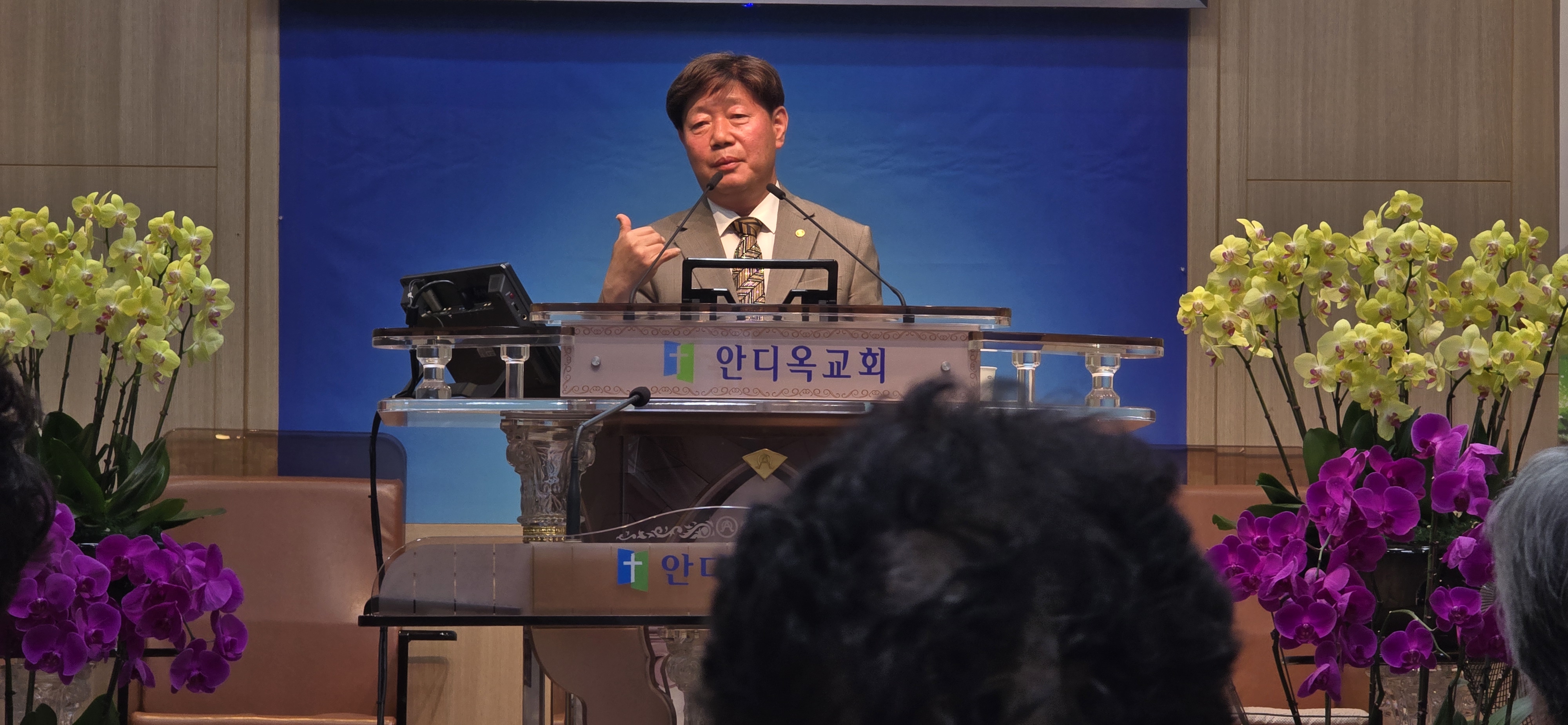 사진