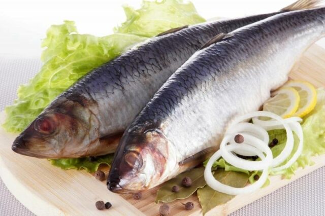 Сельдь соленая в домашних условиях — как засолить селедку 13 очень вкусных рецептов фото Сельдь соленая в домашних условиях — как засолить селедку 13 очень вкусных рецептов фото