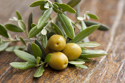 olve leaves