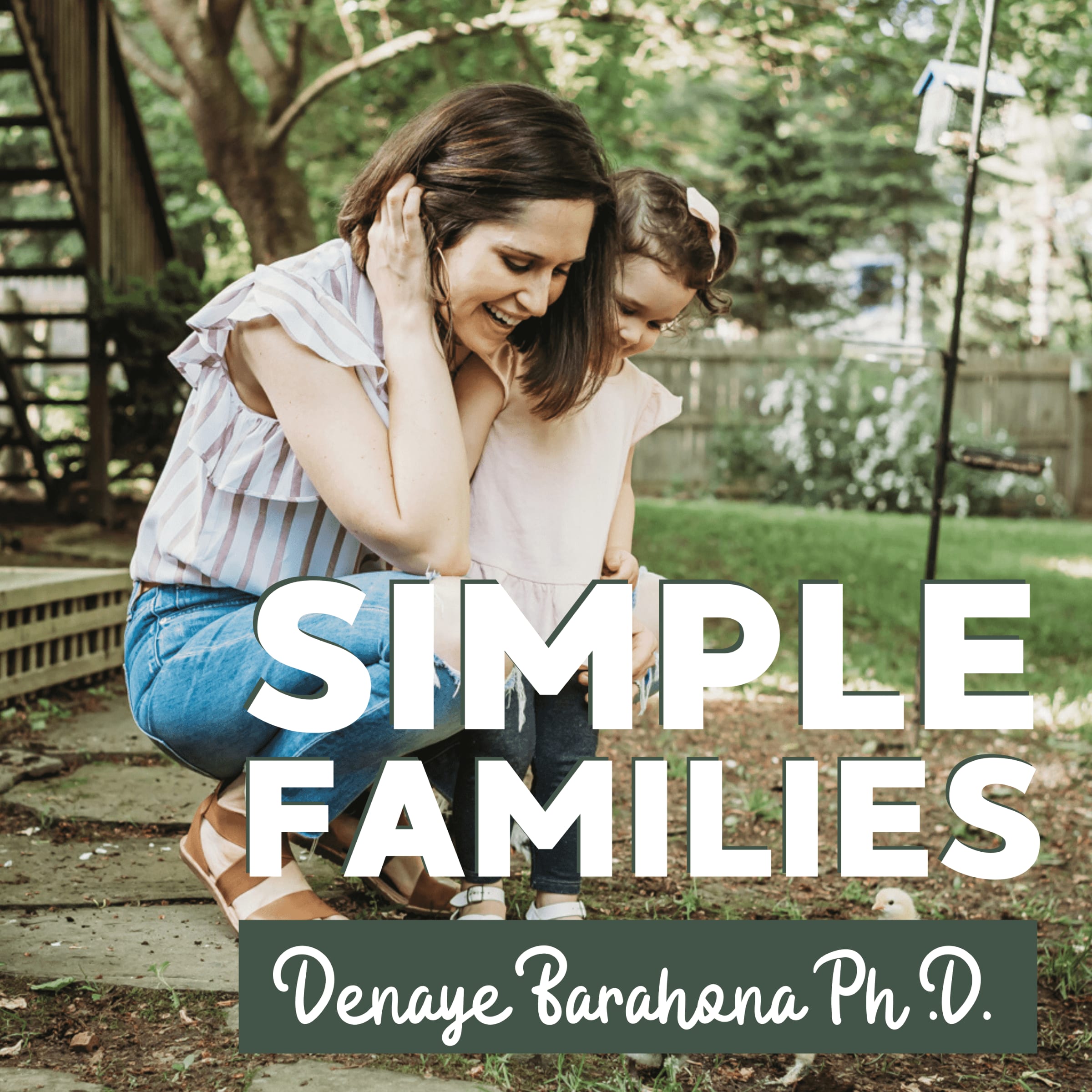 Simple Families 