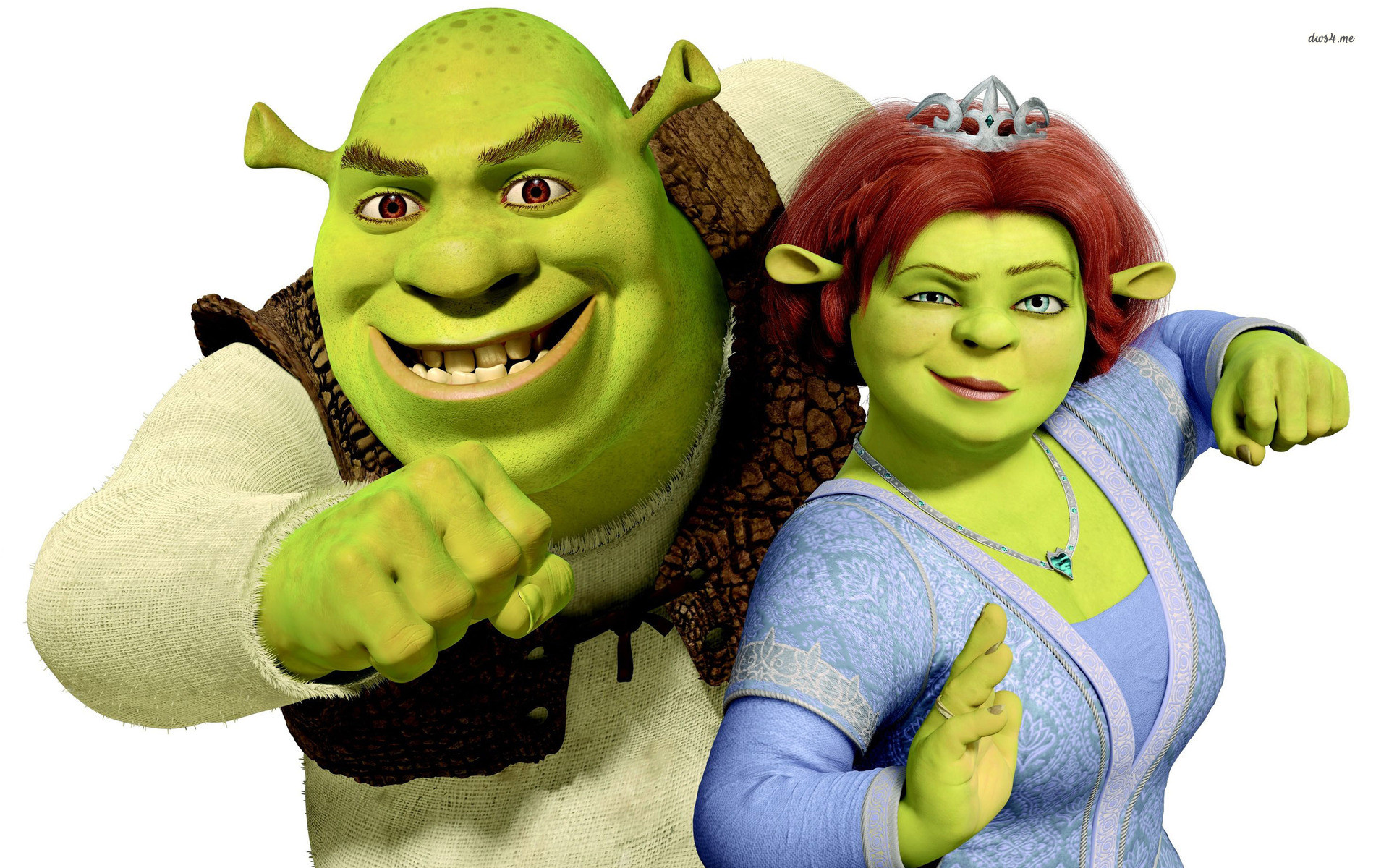 Shrek and Princess Fiona wallpaper – Cartoon wallpapers – #7119