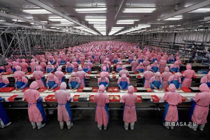 Масштабные работы Андреаса Гурски (Andreas Gursky)