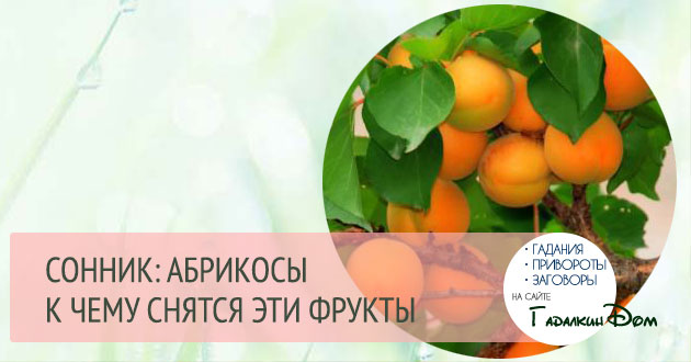 к чему снятся абрикосы