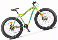 Stels Aggressor D 26 V010