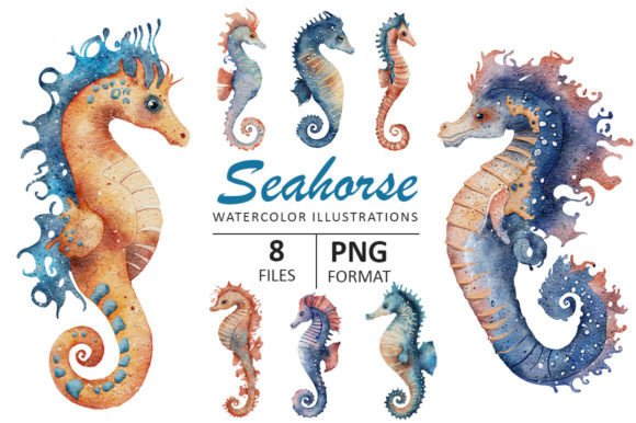 Seahorse Watercolor Illustrations