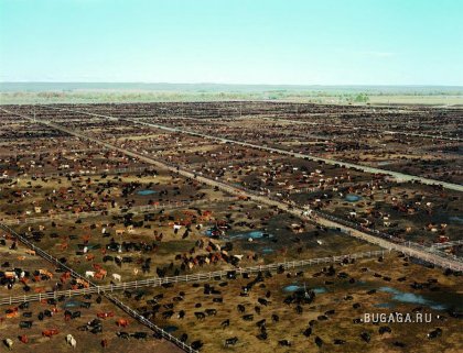 Масштабные работы Андреаса Гурски (Andreas Gursky)