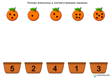 тематический комплект на тему фрукты