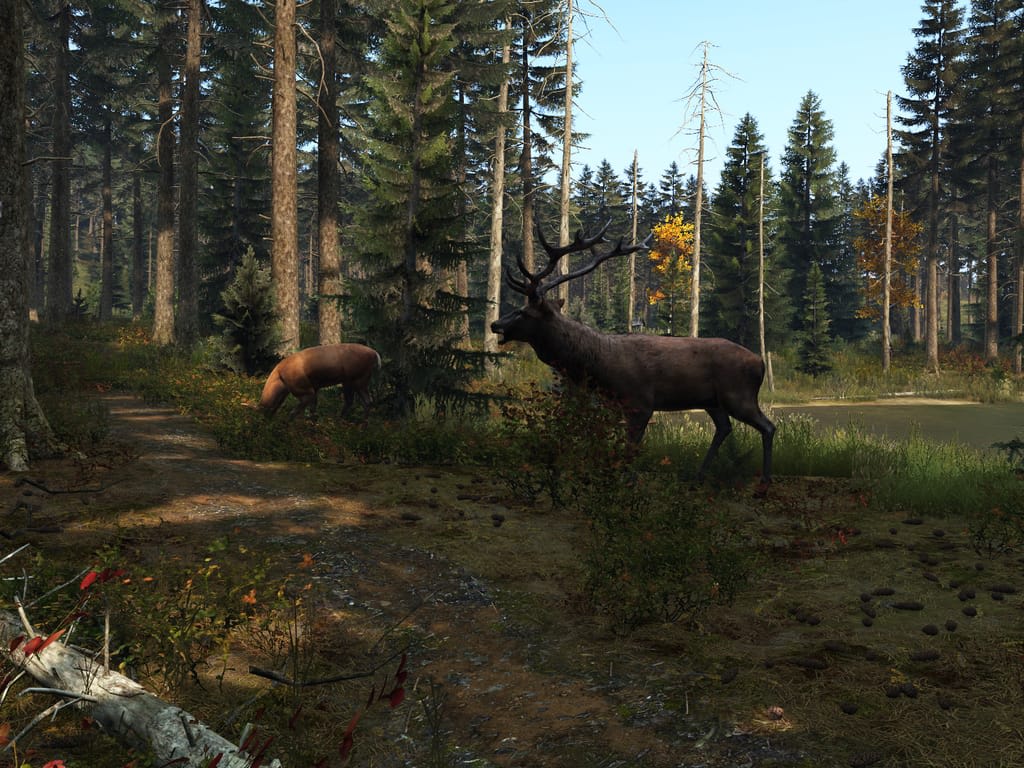How Long Does it Take to Download DayZ?