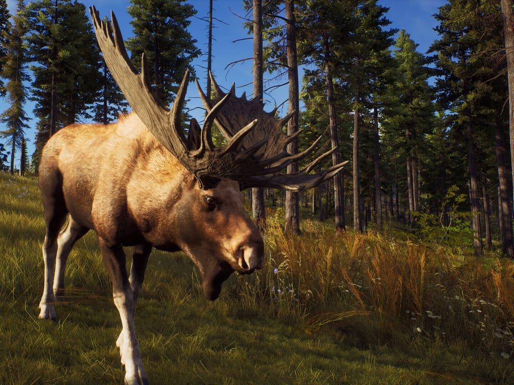How Long Does it Take to Download Way of the Hunter?