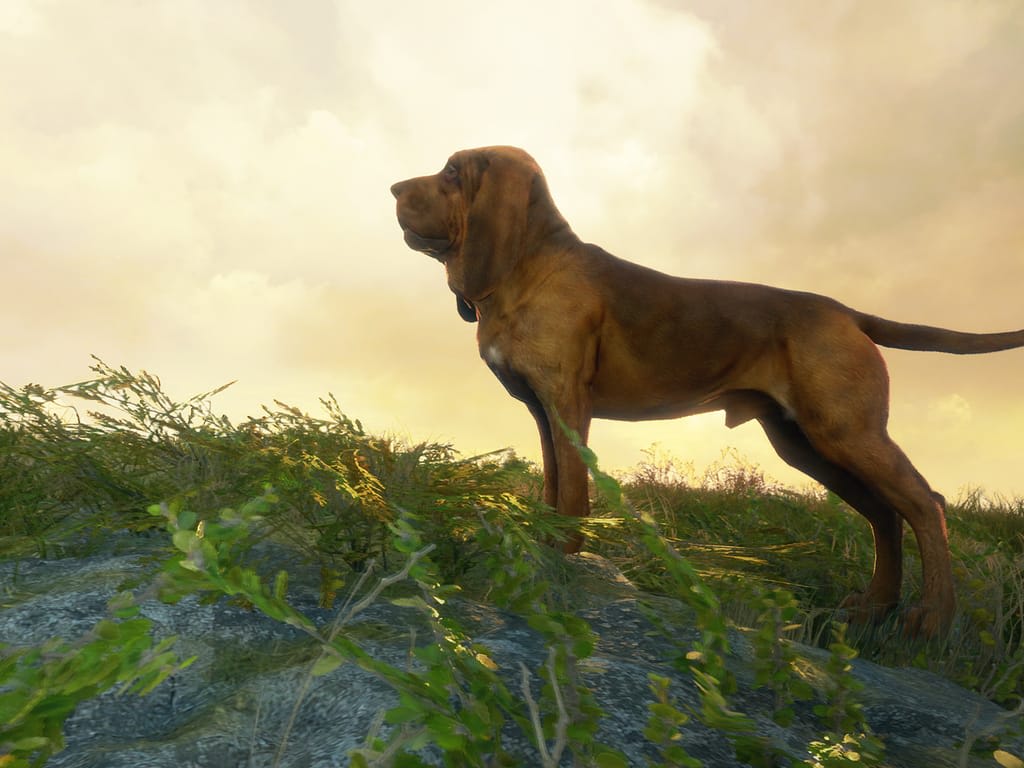 How Long Does it Take to Download theHunter: Call of the Wild™ - Bloodhound?