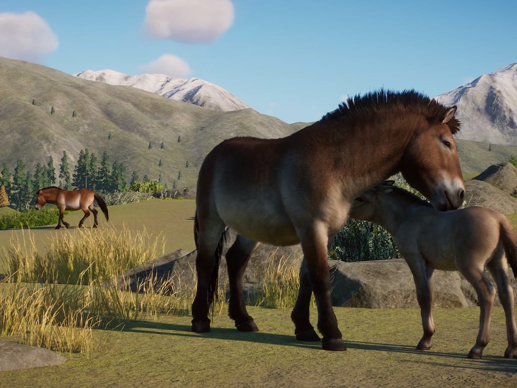 How Long Does it Take to Download Planet Zoo: Conservation Pack?