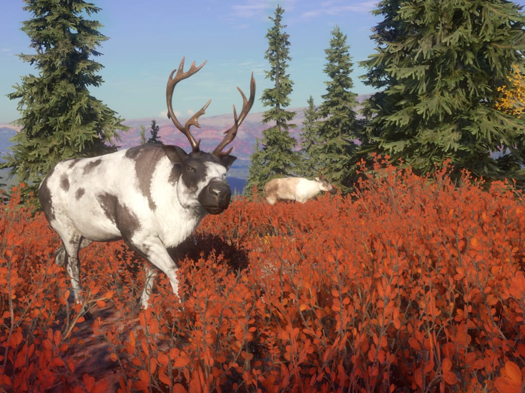 How Long Does it Take to Download theHunter: Call of the Wild™ - Yukon Valley?