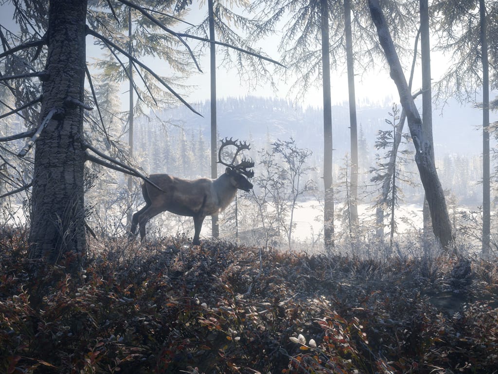 How Long Does it Take to Download theHunter: Call of the Wild™ - Medved-Taiga?