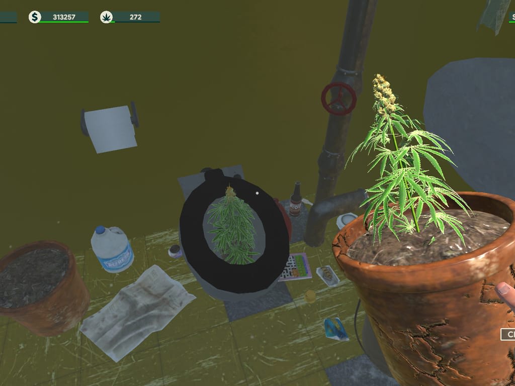 How Long Does it Take to Download Weed Shop 3?