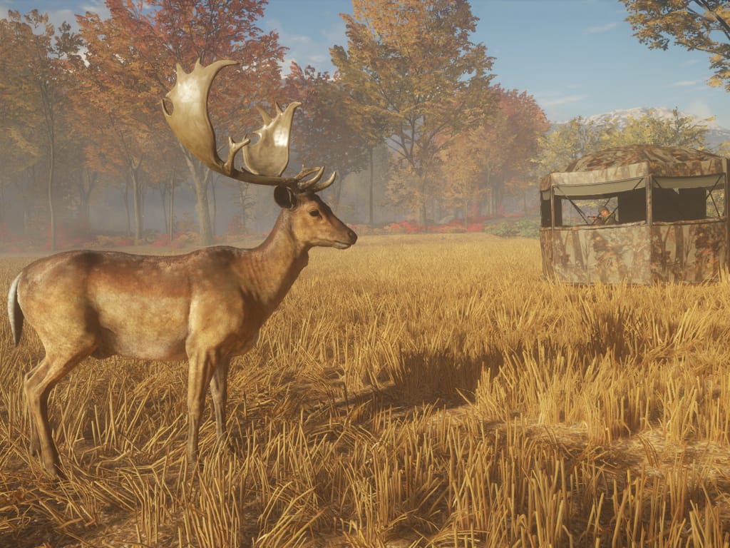 How Long Does it Take to Download theHunter: Call of the Wild™ - Tents & Ground Blinds?