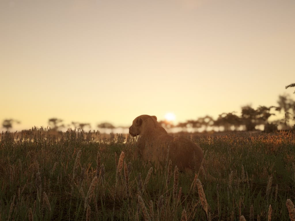 How Long Does it Take to Download Animalia Survival?