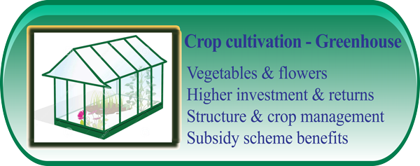 Crop Cultivation under Greenhouse