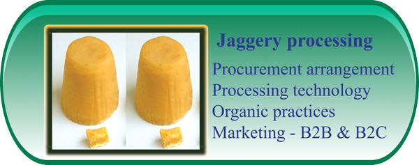Jaggery Processing