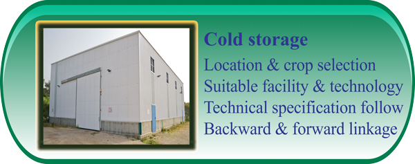 Cold Storage