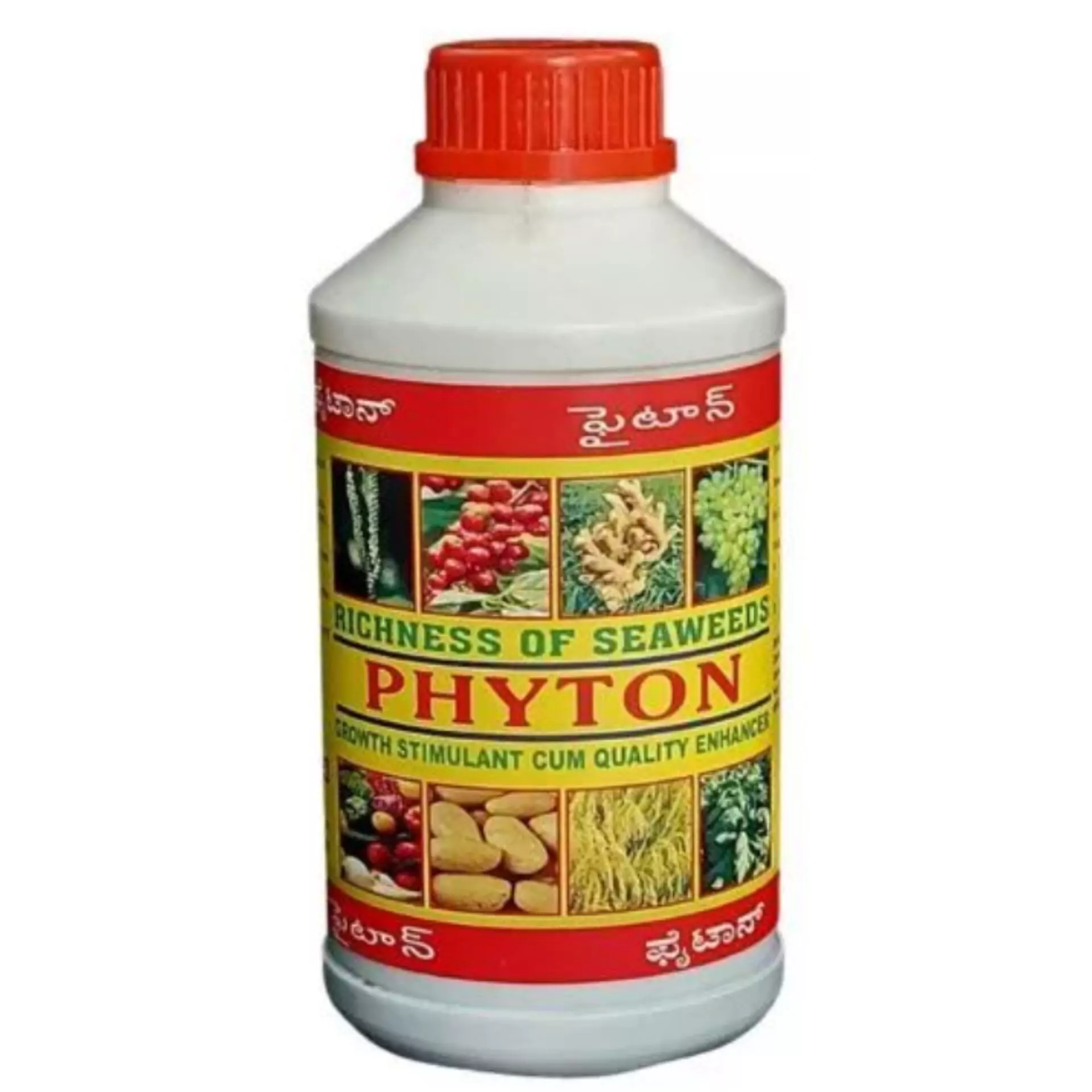  Phyton T 