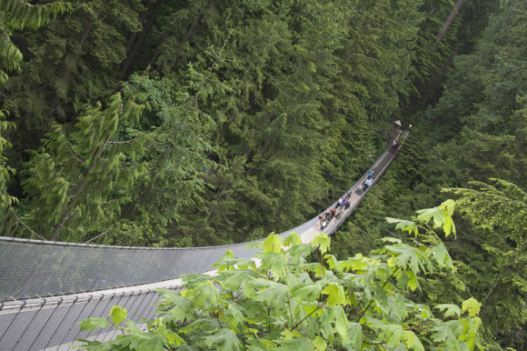 More shots of the long suspension bridge.