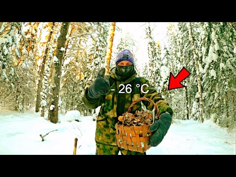 Фабрика звёзд-6 - Тринадцатый отчетный концерт