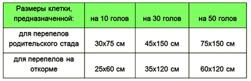 Рекомендуемые размеры клеток для перепелов Рекомендуемые размеры клеток для перепелов