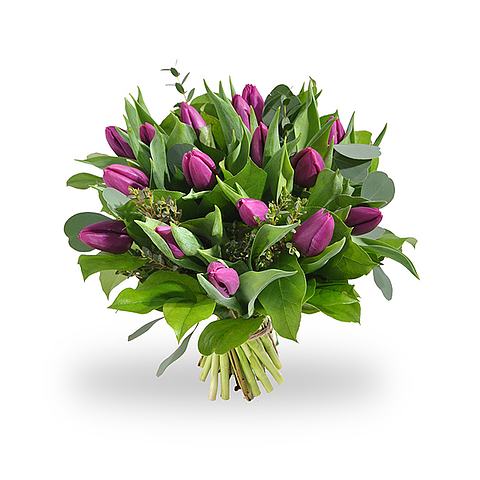 Bouquet purple tulips standard