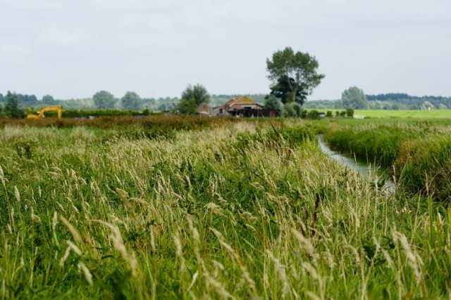 Natuur op nekkeveld