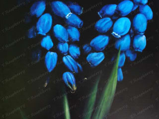 Muscari. 2015. Canvas Oil. 70x50 cm